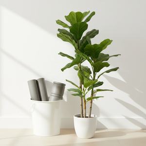 Figuier à feuilles de violon artificiel, hyper-réaliste, <span class=keywords><strong>en</strong></span> plastique, résistant aux intempéries, <span class=keywords><strong>pour</strong></span> l'intérieur et l'extérieur, décoration de <span class=keywords><strong>jardin</strong></span>, décoration de maison, paysagiste, vente <span class=keywords><strong>en</strong></span> gros - Product Image 4