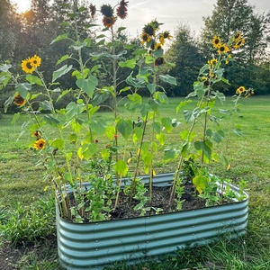 Модульная гофрированная оцинкованная металлическая кровать для сада - Product Image 3