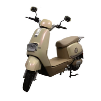 Sepeda Listrik 800W Grosir untuk Dewasa, Stylish & Tahan Lama, Tegangan 60v dengan Spion Sein, Motor Listrik