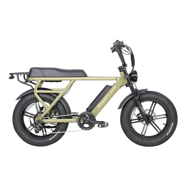 OEM Alloy Frame Snow Beach Retro Electric Bike Bicycle 500w-750w Fat Tire Electric Bike 2 Seat Mountain Electric Bike