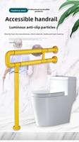Barra de Seguridad para Hospital, Barra de Apoyo para Baño, Montada en la Pared, para Ancianos y Personas con Discapacidad