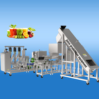 Industriële fruit- en groentesapcentrifuge, op maat gemaakte OEM, zwaar gebruik, voor drankenfabrieken, van roestvrij staal SS304