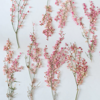 Bunga Rumput Muhly Merah Muda Dengan Cabang Untuk Scrapbooking Resin Epoksi Ramah Lingkungan Bunga Asli Terpres DIY