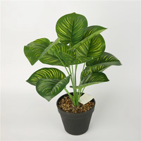 Pot en plastique blanc miniature de haute qualité, écologique, pour la décoration de plantes d'extérieur, couleur personnalisable, jardinières pour Maranta