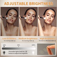 Miroir de bureau argenté Décor Miroir de maquillage LED avec 15 gradateurs tactiles Ampoule LED Miroir éclairé Coiffeuse