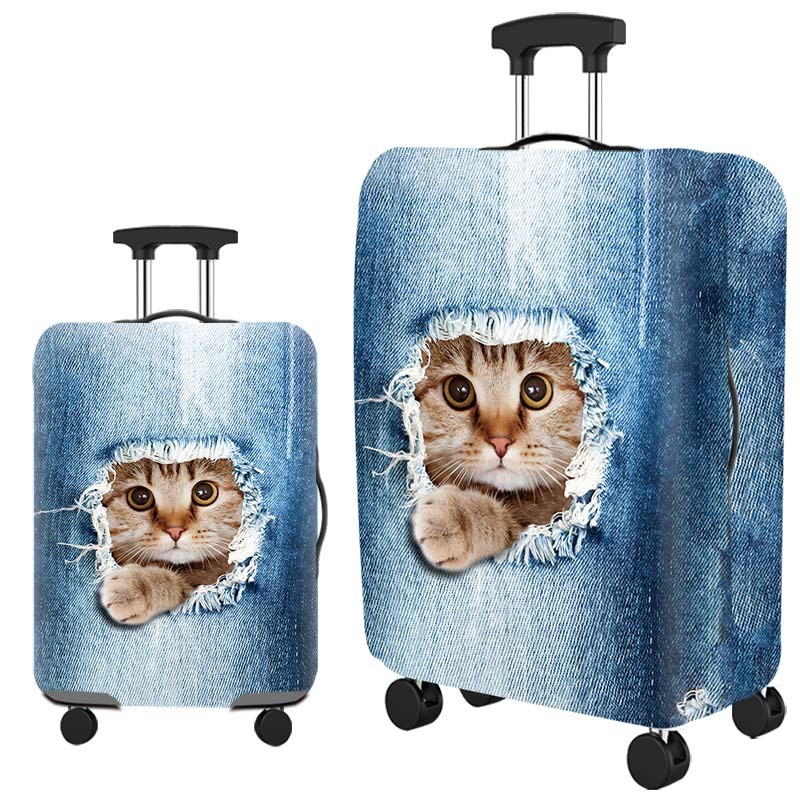 H155 Cowboy Cat