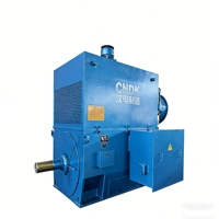 Moteur asynchrone triphasé à induction 3kV/6kV/10kV, moteur synchrone de grande et moyenne taille pour l'exploitation minière