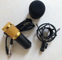 Microphone à condensateur professionnel BM800B pour studio et diffusion, ensemble de micros à condensateur les plus vendus