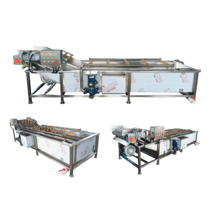 Máquina Automática de Lavado y Limpieza por Burbujas Ultrasónicas para Frutas y Verduras como Arándanos, Mango, Tomate y Aguacate - Product Image 6