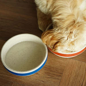 מזון כלבים מזון איטי מזון כלבים מזון איטי מזון ג 'ונגל עיצוב גור נגד לחנוק חנקית - Product Image 4