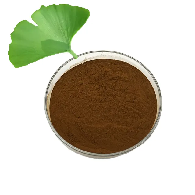 2023hot Verkopende Beste Prijs Ginkgo Biloba Extract Poeder/Ginkgo Leaf Extract Egb 761/Flavone 24%, Lactonen 6%