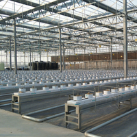 Serre en verre multi-chapelles à haute efficacité énergétique avec systèmes de ventilation, d'irrigation et d'hydroponie pour l'agriculture moderne