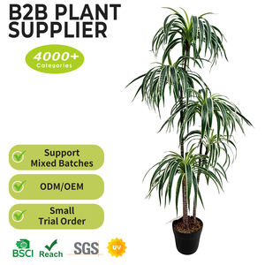 Árbol de Agave Artificial y Árbol de Dracaena Draco al por Mayor, 120 cm, Plantas Tropicales Naturales para Decoración del Hogar, Árbol Artificial de Interior - Product Image 2