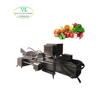 Aangepaste Shaoxing Walley multifunctionele hogedruk roestvrijstalen 304 commerciële groente- en fruitwasmachinepomp