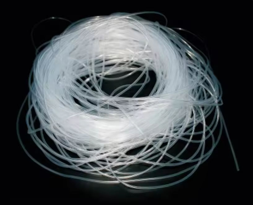 โปร่งใส