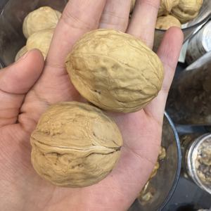 جودة جيدة سعر منخفض الجوز و 33 جوز طازج مستوى تصدير الأغذية العضوية - Product Image 3