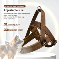 Nouveau Harnais pour Chien Tendance et Coloré, Respirant, en Nylon Simple avec Bord Réfléchissant Élargi pour Chiots