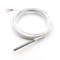 Capteur de température RTD à résistance au platine, classe A/B, série PT100/PT1000 avec sonde en acier inoxydable