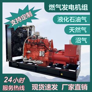 เครื่องกำเนิดไฟฟ้า LNG 100 กิโลวัตต์ เครื่องยนต์ Weichai มอเตอร์ทองแดงแบบไร้แปรงถ่าน เงียบสงบ 440 โวลต์ สีดำ อุปกรณ์ผลิตไฟฟ้าจากก๊าซ - Product Image 4