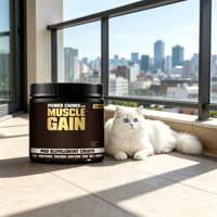 Vente en gros OEM ODM Marque privée Friandises à mâcher pour le développement musculaire des chats, Suppléments personnalisés riches en protéines pour la récupération de poids