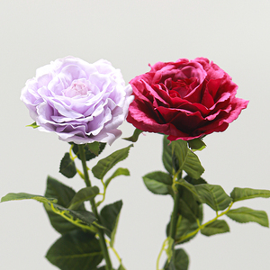 Haute qualité Real Touch thé <span class=keywords><strong>Rose</strong></span> hydratant fleurs artificielles pour noël mariage saint valentin décorations de fête de jardin - Product Image 5