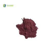 SLBIO Extrait de peau de raisin rouge en poudre, qualité alimentaire, extrait végétal, 10% 20% 30% Polyphénol, multi-spécifications