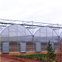 Kit complet de serre commerciale multi-travées économique avec gouttière de drainage et système hydroponique pour semis de tomates et de fraises