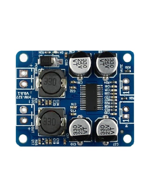 New TPA3118 PBTL Mono Digital Amplifier Board 1X60W 12V 24V Power Amplifier Module