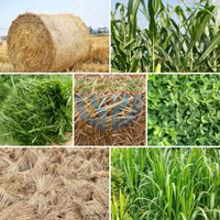 Mélangeurs d'aliments TMR de 5 mètres cubes à entraînement par prise de force, adaptés aux fermes laitières, dotés d'une structure de mélange verticale pour une grande stabilité.