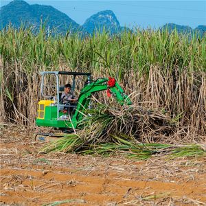 Excavadora con Garra para Caña de Azúcar, Equipo Agrícola, Cargador de Caña de Azúcar con Pinza Hidráulica - Product Image 4