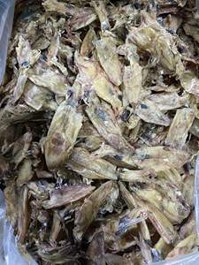 Material crudo de calamar sin sal, secado de mariscos, Exportación a granel sin aditivos, rollo de calamar seco de Vietnam + 84 966 274 584 Blue Lotus - Product Image 5