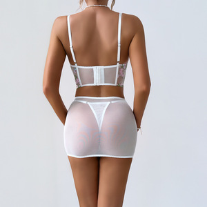 Hot Sexy See Through Lingerie Set Push up <b>Perspective</b> Mesh Lace-Bra and Panties Set Lace Embroidered Lingerie Set - Product Image 3