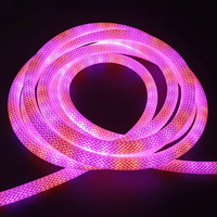 Kit de télécommande USB adressable Ws2812, décoration paysagère flexible, bande lumineuse LED néon RGB en PVC IP67