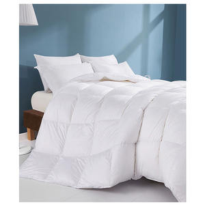 Autunno Queen Size Hotel casa biancheria da letto morbida e confortevole trapunta da letto <span class=keywords><strong>matrimoniale</strong></span> inverno piumino e piumino per Hotel a casa - Product Image 1