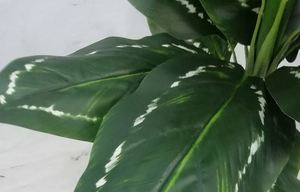 Cây Cỏ Nhân Tạo Bằng Nhựa Thiết Kế Mới Bán Trực Tiếp Từ Nhà Máy - Product Image 6