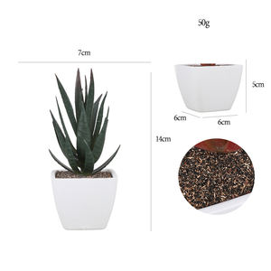 Custom Nordic Style Office Desktop Decoration Gift Simulation Succulent Square Plastic Pot Artificial Plants