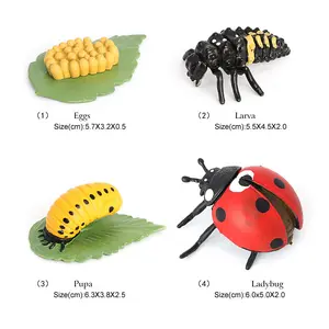 Butterfly,Ladybug,Chicken Life Cycle Figurine Plastic Models Action Figures Educational Kids Toy Simulation Animals Growth Cycle