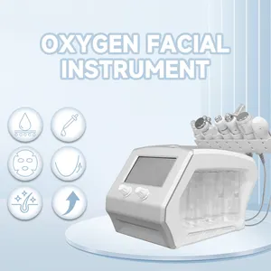 2024 High Quality Wholesale Price Oxygen Jet Facial Machine Skin Care Oxygen Bubble Oxygen Facial Machine