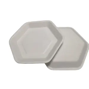 Biodegradable Sugarcane Plate, Disposable Bagasse Miniware Hexagonal Cake Tray For Parties