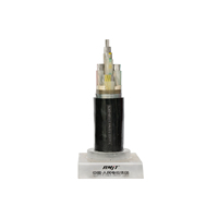 25mm² 50mm² 70mm² 95mm² 240mm² 0,6/1kV XLPE/PVC Aluminium-Kupfer Armiertes Stromkabel