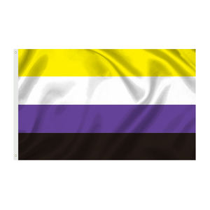 Progress Pride Rainbow Flag 3x5 Bisexual LGBTQ Lesbiana Gay Transgénero Pride Banderas homosexuales - Product Image 6