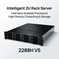 Servidor en Rack 2U Intel Xeon Gold 5218R, 256 GB de RAM, 4x960 GB SSD, 4x2 TB SAS, SR430 RAID, 2x900 W PSU, Servidor Empresarial 2288H V5