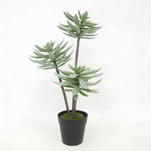 ต้นเอโอเนียมล็อตัสประดิษฐ์ 3 หัวในกระถางพลาสติกสีดำ ต้นไม้ประดิษฐ์ ต้นไม้ปลอมสำหรับตกแต่งบ้านและสวน - Product Image 6