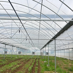 Serre multi-spans 2025, structure en acier galvanisé connectée par une gouttière - Product Image 5