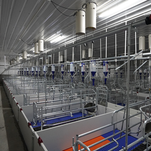 1.8*2.4 Farrowing Bed Mother Pig Piglets with Cast Iron <b>Plastic</b> Floor Pig Cage - Product Image 3