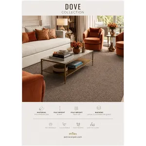 Alfombra de Polipropileno Beige Petra Dove 20248 F. de 16 mm de Pelo, Apta para Mascotas, de Alto Tráfico, para Dormitorio y Sala de Estar, Sostenible - Product Image 3