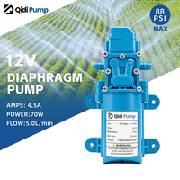 Pompe à diaphragme micro 12V DC portable auto-amorçante pour nettoyage de surfaces extérieures, idéale pour le lavage de voitures et les jets d'eau.