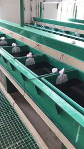 قطعة رمال ماسية مطلية بالكهرباء ، بلاط ، قطعة تطريز رخامية إسمنتية ، منشار بزاوية ماسية ، شفرة 10 خيط للتنظيف - Product Image 5