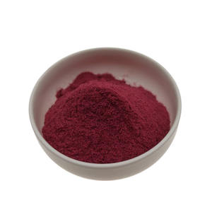 Extracto de Arándano con 25% de Antocianina, Polvo de Jugo de Arándano, Extracto de Vaccinium Vitis-idaea L en Polvo - Product Image 1