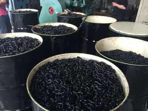 QRE ASTM/NACM/EN 818 G80ブラック溶接チェーンスリングリフティングチェーン山東省 - Product Image 6